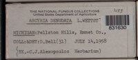 Image Associated With the Occurence